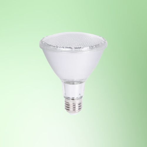 LED PAR30